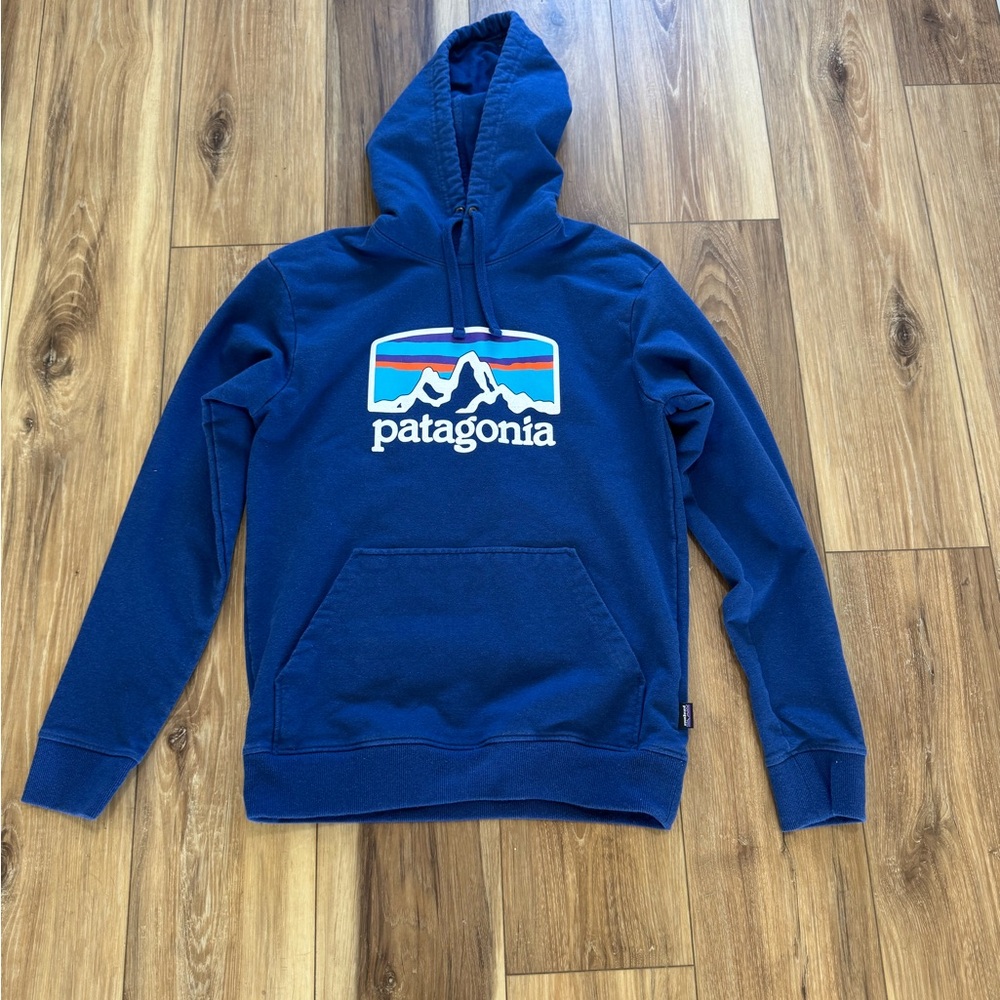 Patagonia Blue Sweatshirt with Iconic Logo size Small